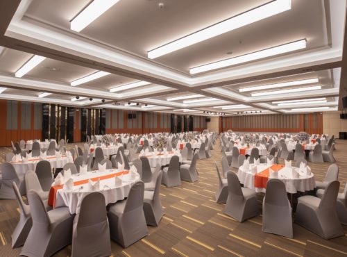 แกลเลอรี่ภาพ