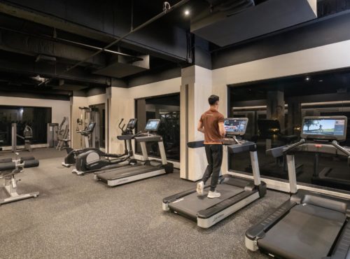 แกลเลอรี่ภาพ