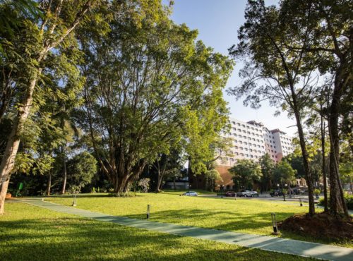 แกลเลอรี่ภาพ