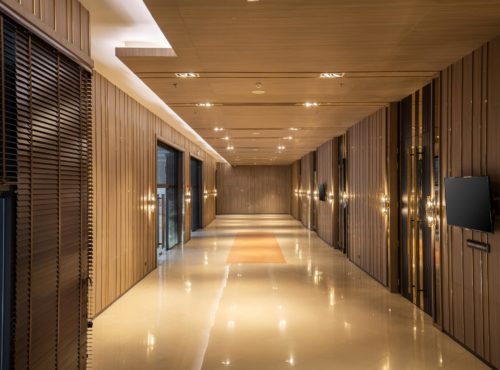 แกลเลอรี่ภาพ