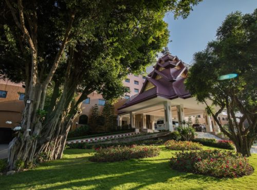 แกลเลอรี่ภาพ