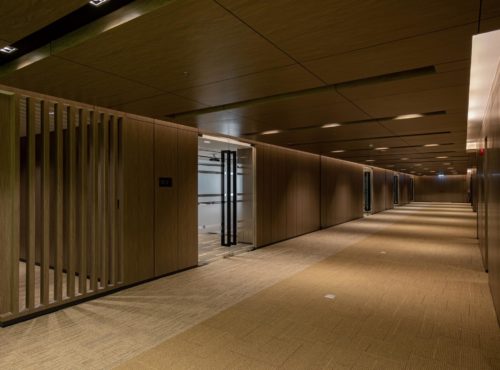 แกลเลอรี่ภาพ